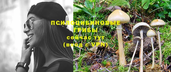 тгк Балабаново